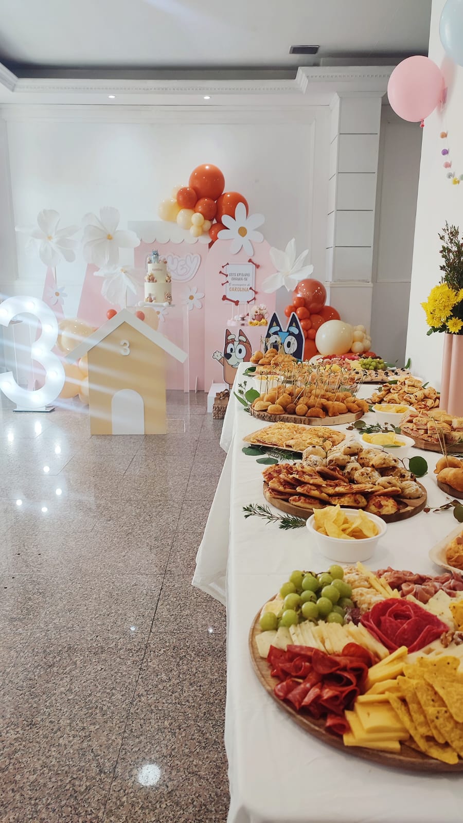 Aluguer de espaço tema Bluey com buffet completo — Tiduli Kids Party Rio Tinto